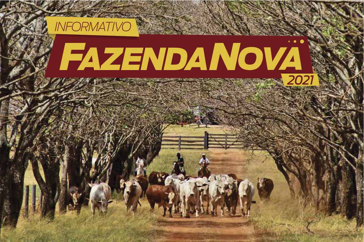 Fazenda Nova apresenta destaques Nelore e Braford em 18 de abril